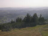 17 : 17