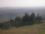 17 : 29