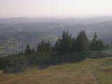 17 : 33