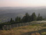 19 : 25