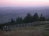 20 : 25