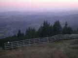 20 : 29