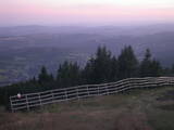 20 : 41