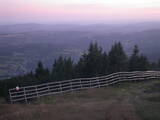 20 : 45