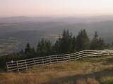 19 : 29