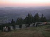 20 : 21