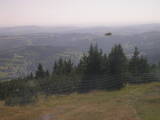16 : 29