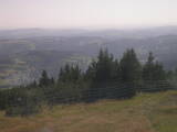 16 : 49