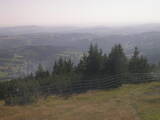 17 : 17