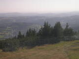 17 : 33