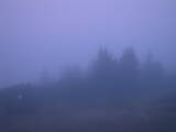 05 : 37