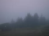 06 : 01