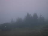 06 : 05