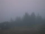 06 : 17