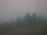 06 : 25