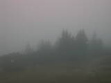 07 : 29
