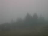 08 : 17