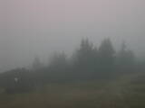 08 : 21