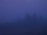 05 : 41