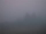 06 : 41