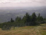 13 : 21