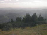 16 : 49