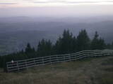 19 : 41