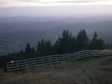 19 : 53
