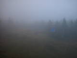 20 : 26