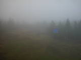 13 : 06