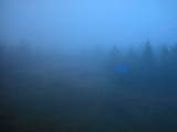 04 : 50
