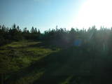 06 : 50