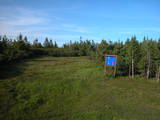 19 : 10