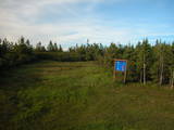 19 : 42