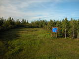 19 : 46