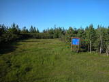 19 : 10