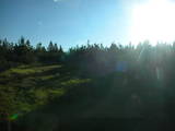 06 : 42