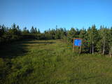 19 : 46