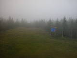 16 : 50