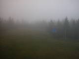 17 : 14