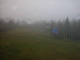 17 : 42