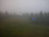 19 : 42