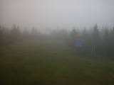 19 : 46