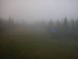 20 : 10