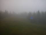 20 : 18