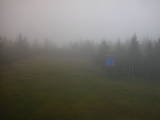 08 : 50