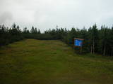 13 : 50