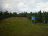 17 : 50