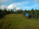 18 : 46