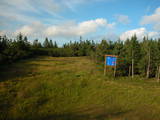 19 : 22